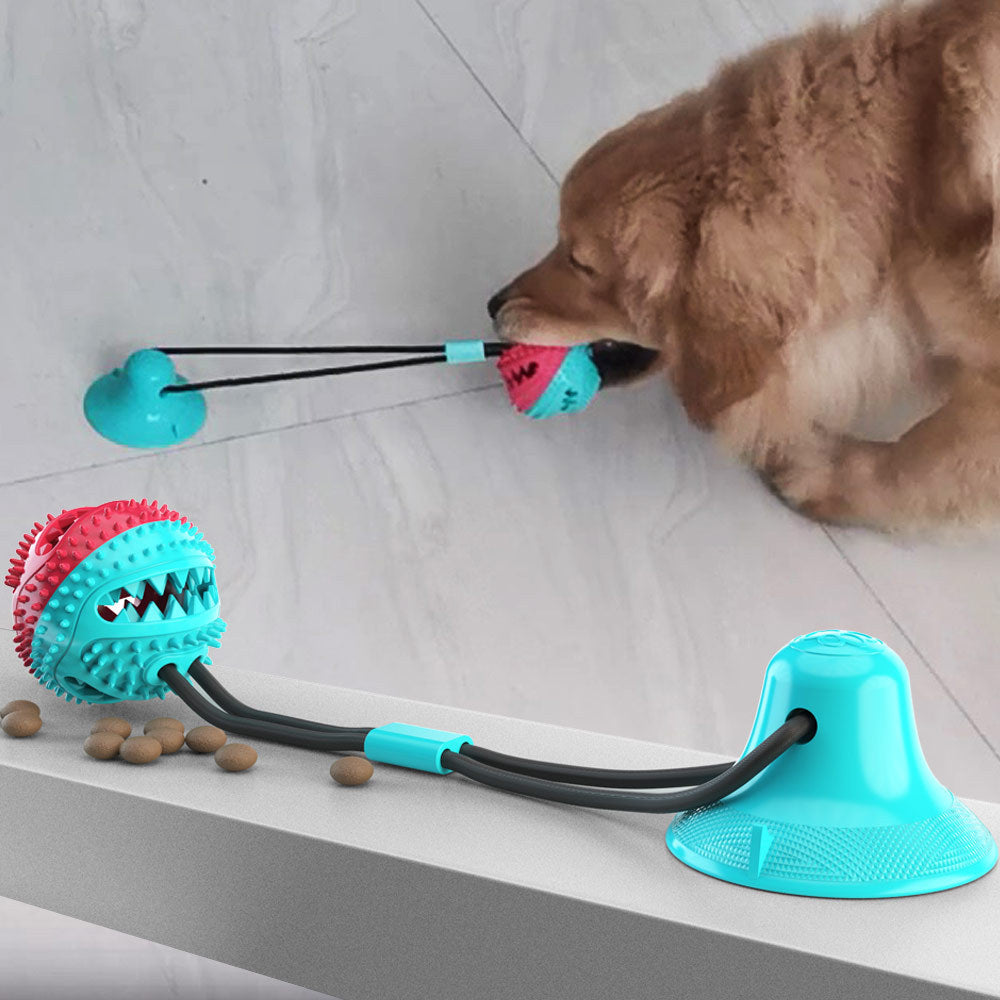 Pet Molar Amazon hot sale pet supplies teething leaker chew resistant ball suction cup dog toy