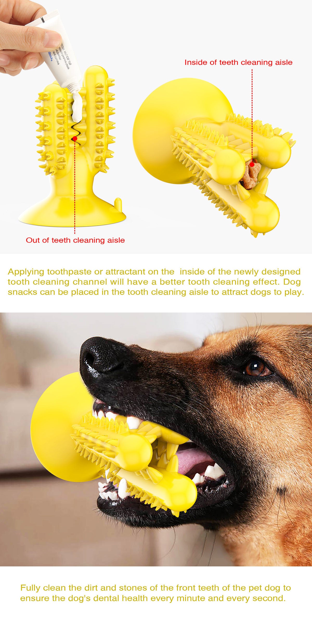 Cross-border Amazon Hot Selling Dog Cactus Toothbrush Dog Molar Teeth Cleaning Stick Pet Resistant Biting and Biting Toys