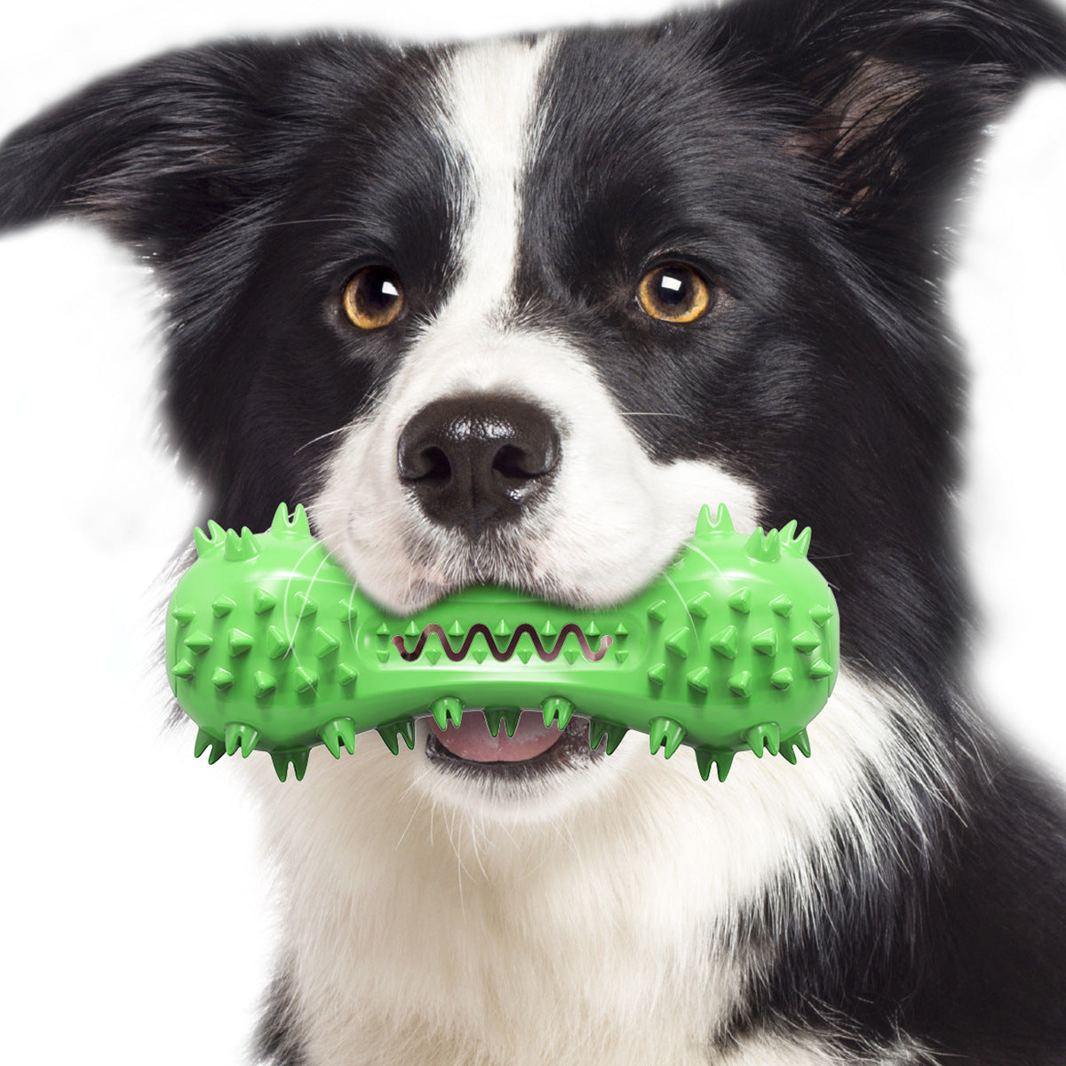 New pet products Amazon sound dog toys chew stick bone dog toothbrush dog vent pet toys