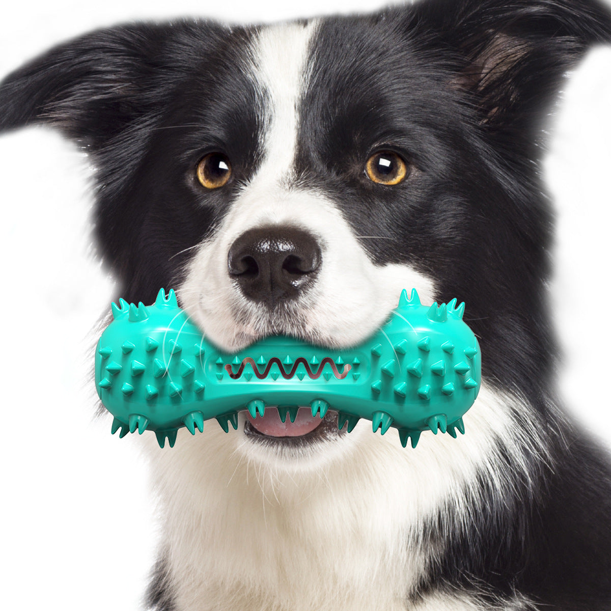 New pet products Amazon sound dog toys chew stick bone dog toothbrush dog vent pet toys
