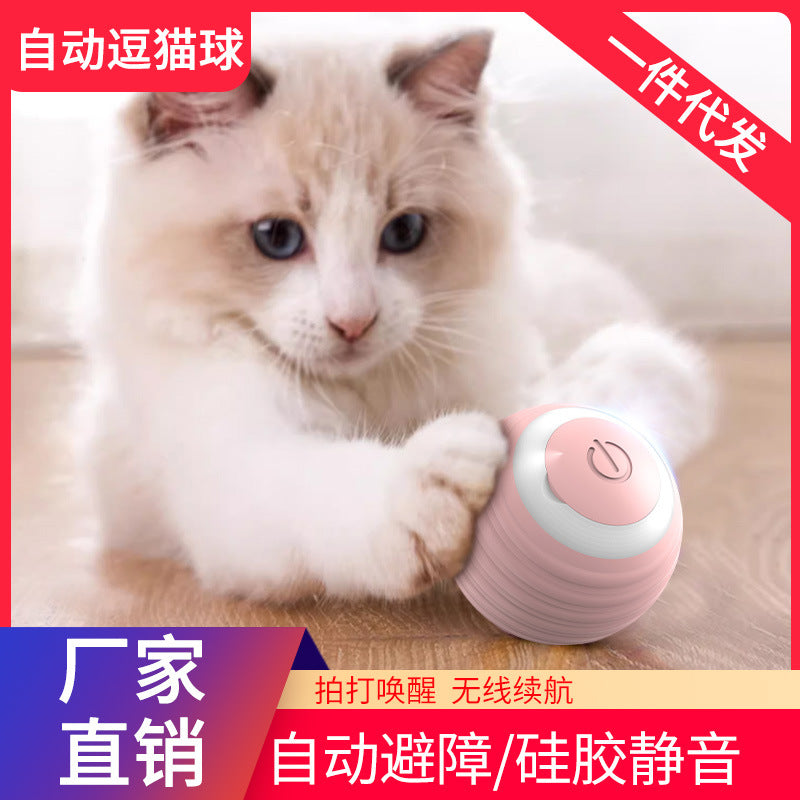 Pet toys, self-stimulating and boredom relief, cat toys, kitten toys, electric cat toys, cat supplies, automatic cat toys