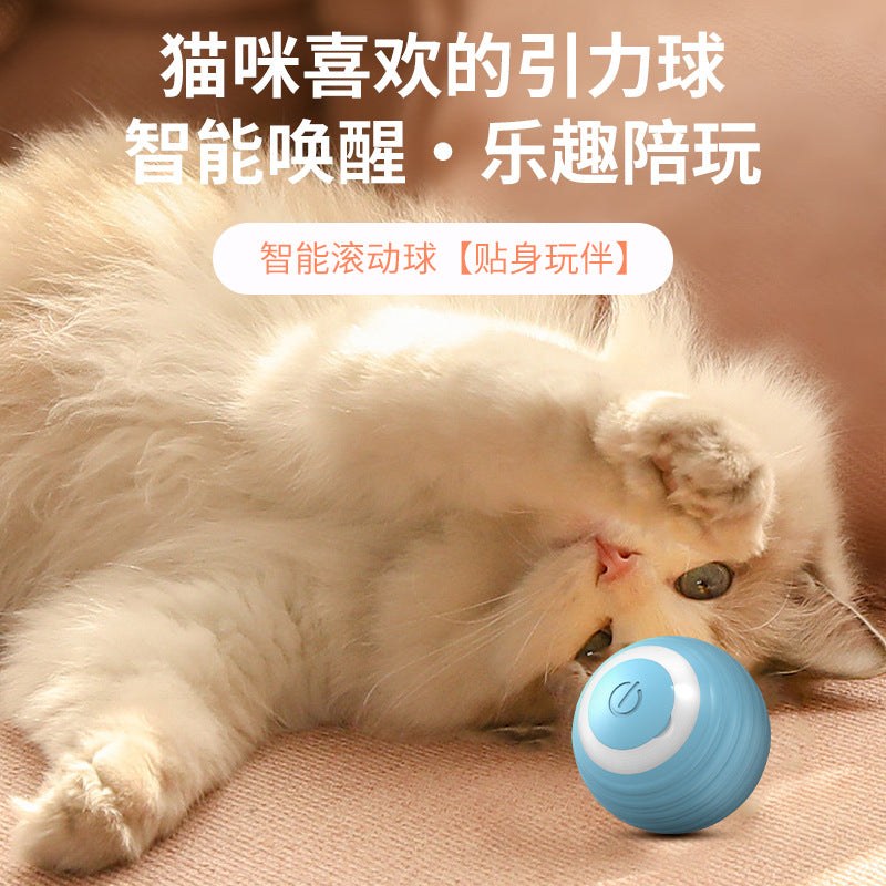Pet toys, self-stimulating and boredom relief, cat toys, kitten toys, electric cat toys, cat supplies, automatic cat toys