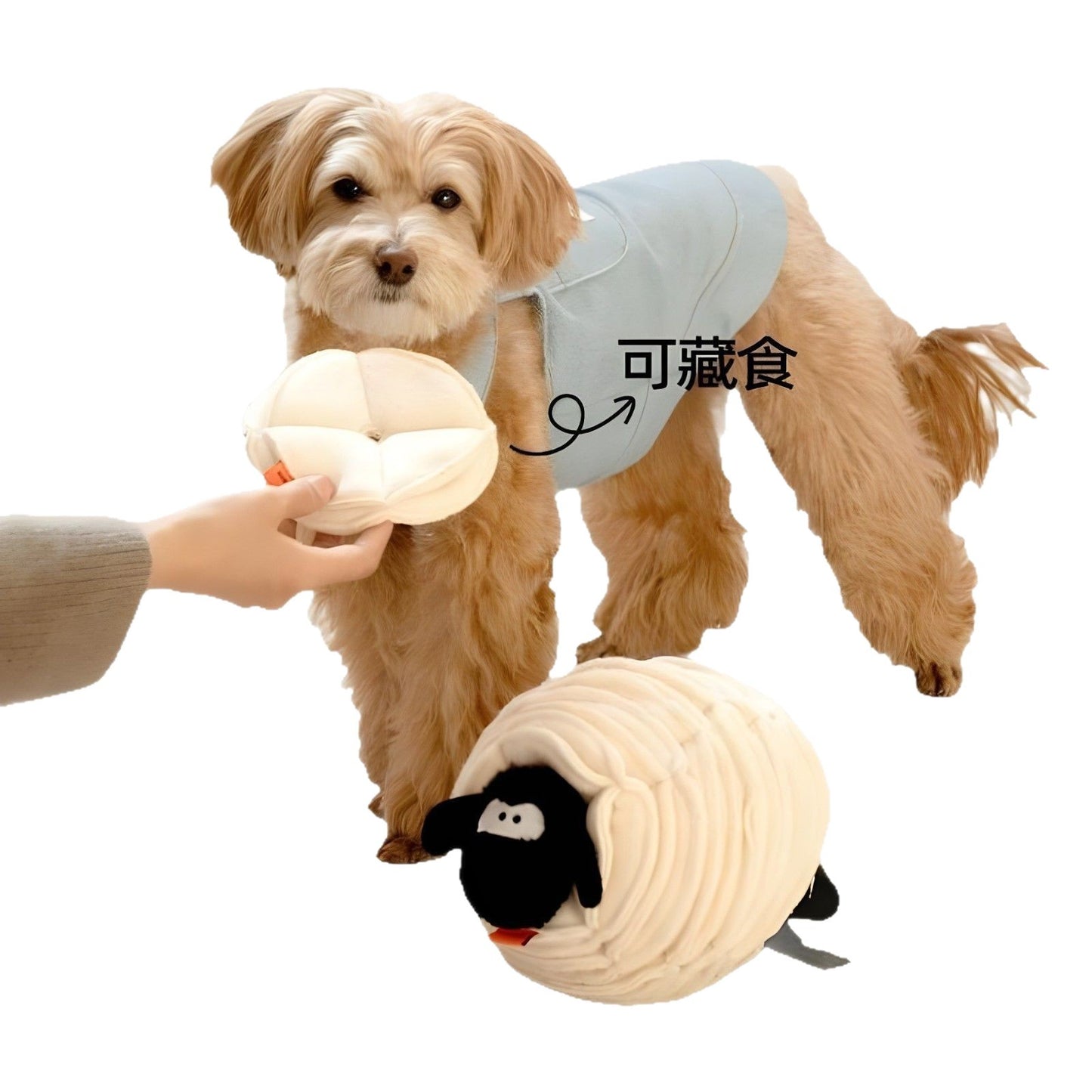 Popular pet sniffing toys for dogs, educational toys for cats, pet dog snacks, cat food storage and energy consumption