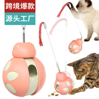Pet supplies factory wholesale company new hot Amazon tumbler balance car beetle cat toy