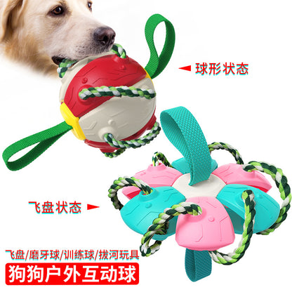 New Amazon Cross-border Pet Supplies Throwing UFO Outdoor Training Interactive Frisbee Soccer Dog Toys