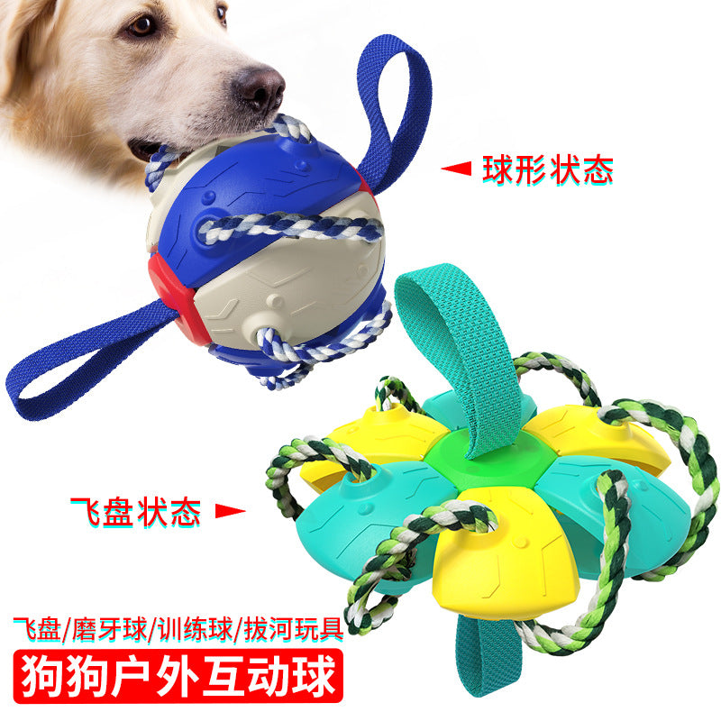 New Amazon Cross-border Pet Supplies Throwing UFO Outdoor Training Interactive Frisbee Soccer Dog Toys