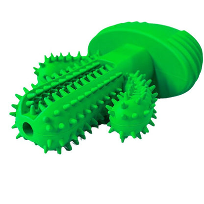 Cross-border hot-selling pet products, cactus pet vocal teeth cleaning sticks, dog toys and dog toothbrushes