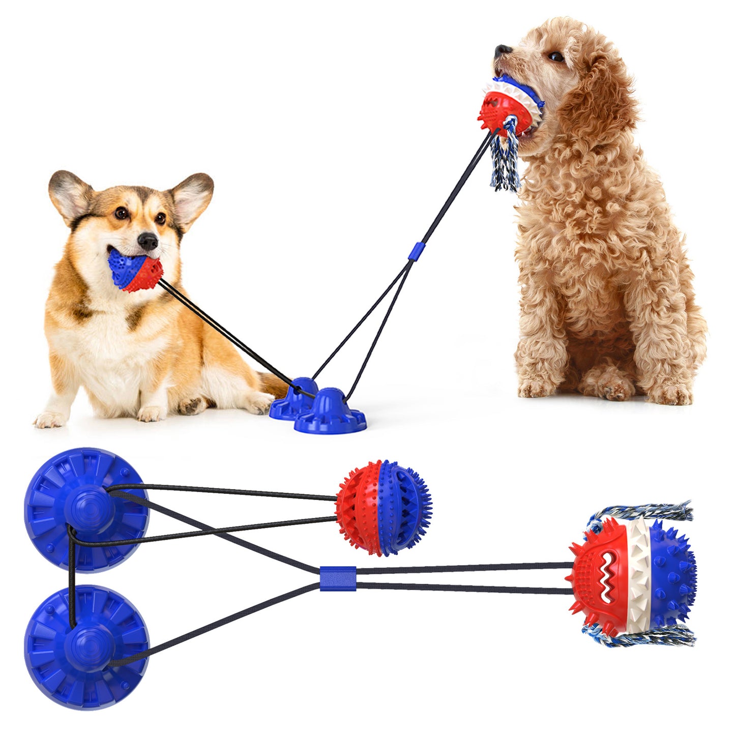 Pet supplies manufacturers Amazon food leaker dog chew ball strong suction cup cat and dog toys cat teaser