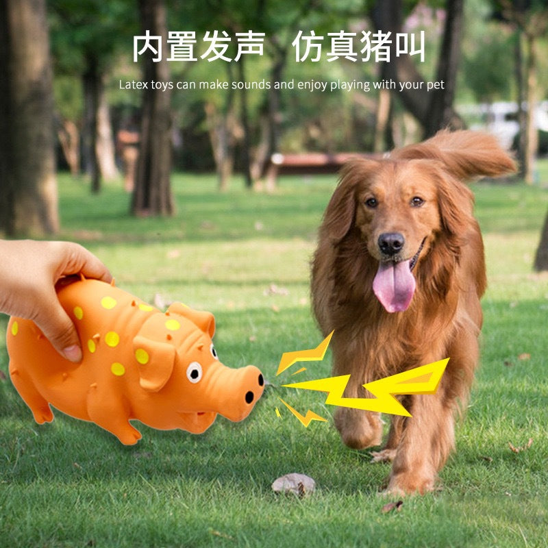 Amazon's best-selling dog pet toys, teething puzzles, sound-making pets, latex toys, pig pet supplies, popular items