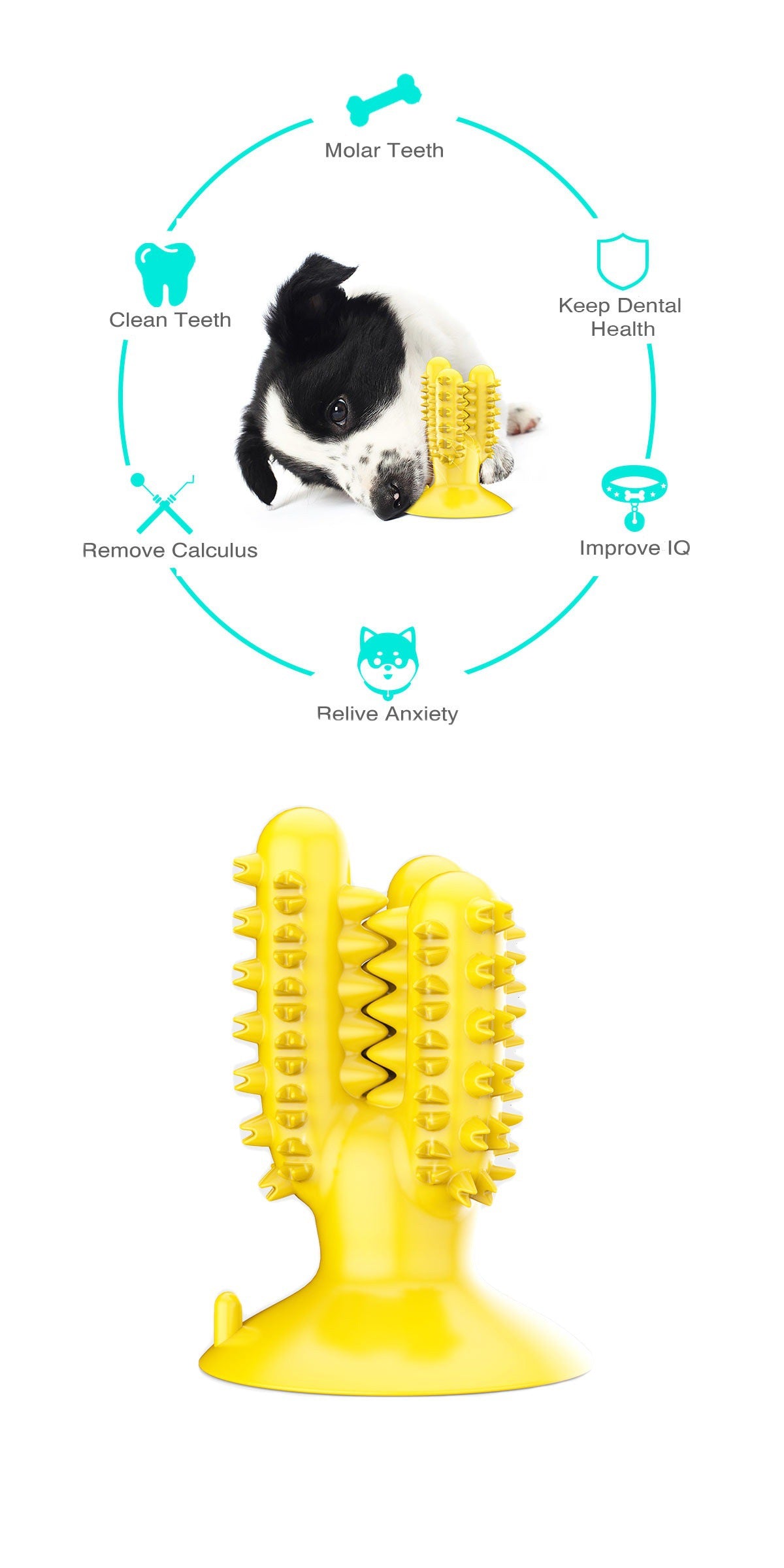 Cross-border Amazon Hot Selling Dog Cactus Toothbrush Dog Molar Teeth Cleaning Stick Pet Resistant Biting and Biting Toys