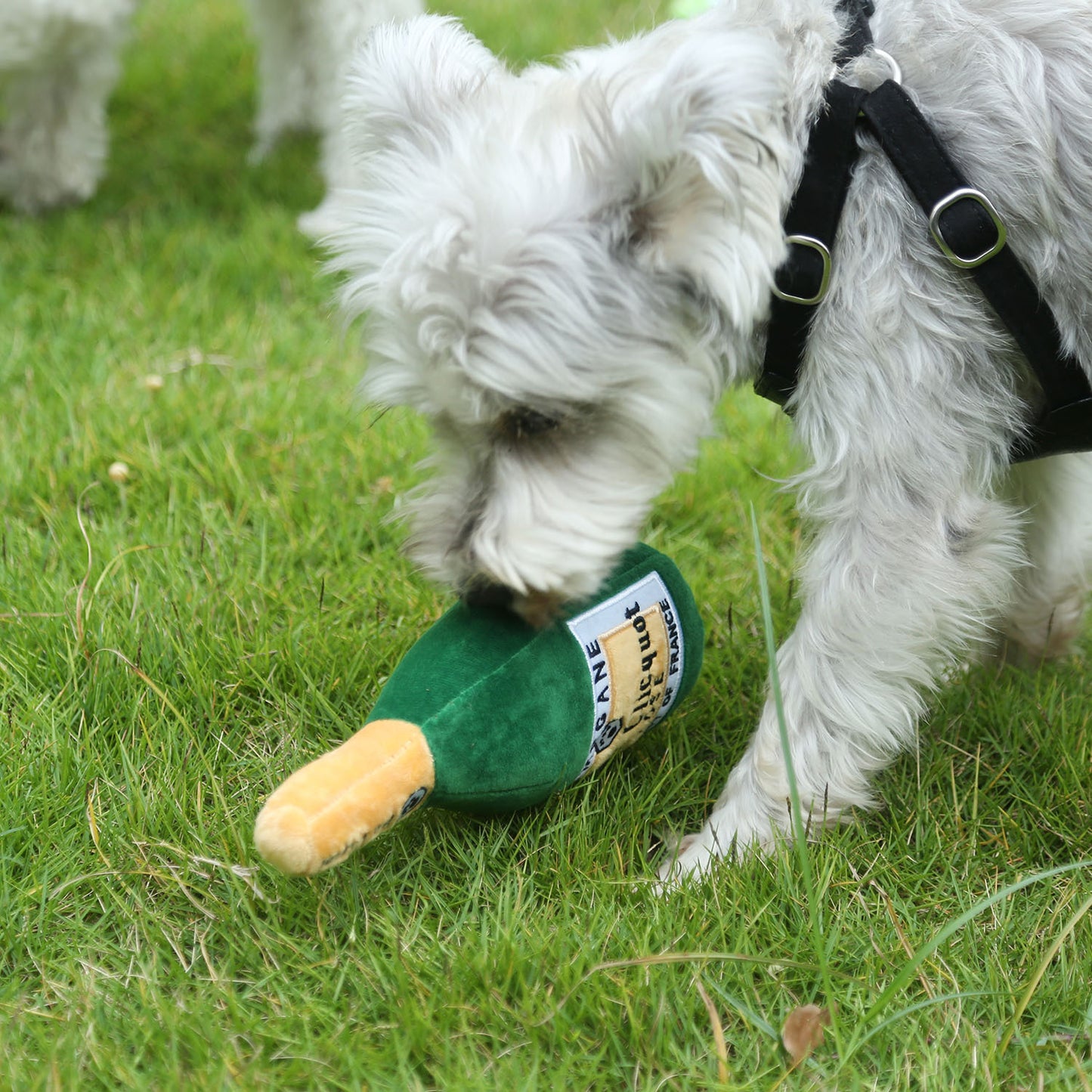 Amazon cross-border new dog sound toy yellow wine bottle bite-resistant pet toys foreign trade export pets