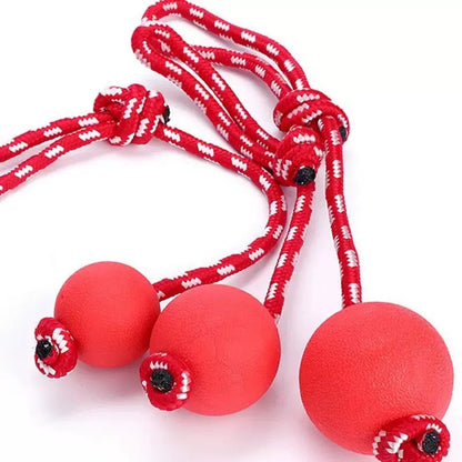 Dog toys, pet sound toys, chewable puppy teeth cleaning and training vinyl toys wholesale