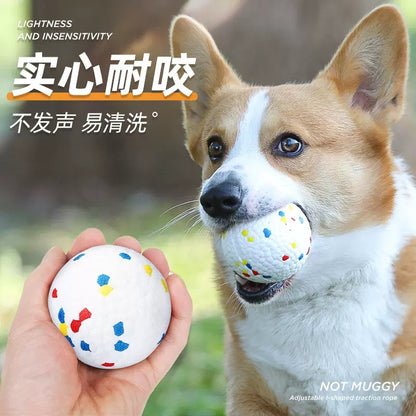 Dog toys chew-resistant ball chew-resistant dog ball Border Collie pet teething self-entertainment elastic solid explosive ball