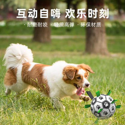 Amazon hot pet toys dog tour football puppy toy ball training pet ball supplies wholesale